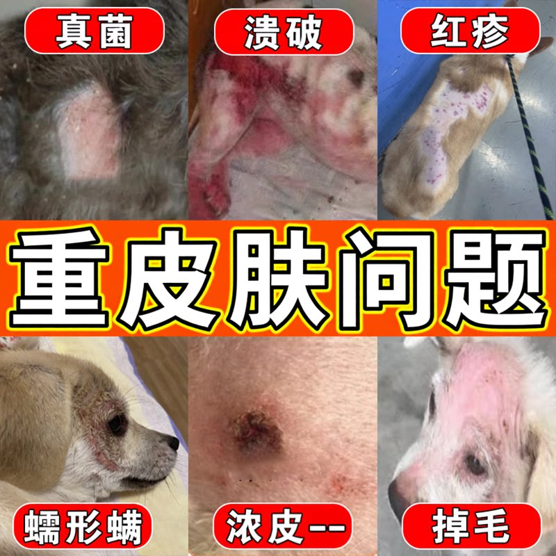 狗狗抗真菌皮肤止痒喷雾