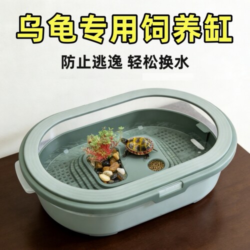 家用巴西龟水陆两栖生态缸
