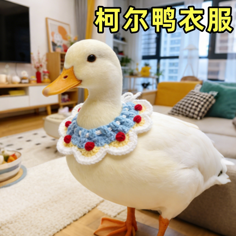 柯尔鸭衣服溜鸭专用项圈围脖布兜手工编织饰品宠物小鸭子衣服用品