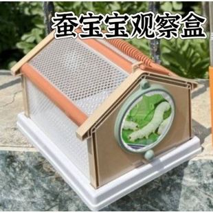 蚕宝宝观察盒饲养盒学生日记养蚕桑叶蚕宝宝卵籽套装彩色茧蚕别墅