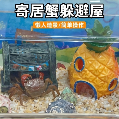 寄居蟹躲避屋饲养箱天然洞穴窝造景生态缸乌龟躲藏屋专用装饰用品