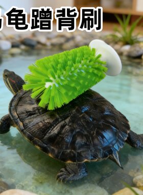 乌龟吸盘式龟甲清洁刷
