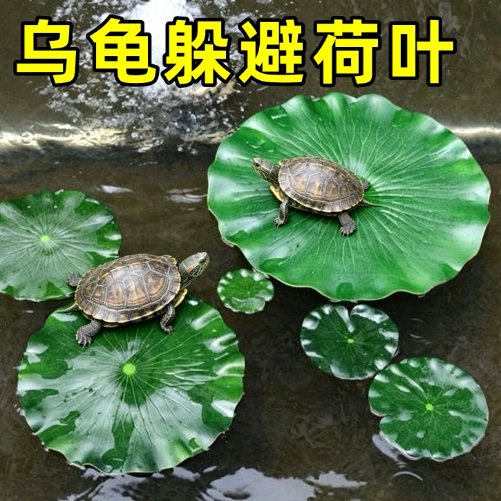 乌龟躲避荷叶鱼龟缸漂浮水草植物造景装饰摆件仿真绿植叶子躲避屋图片