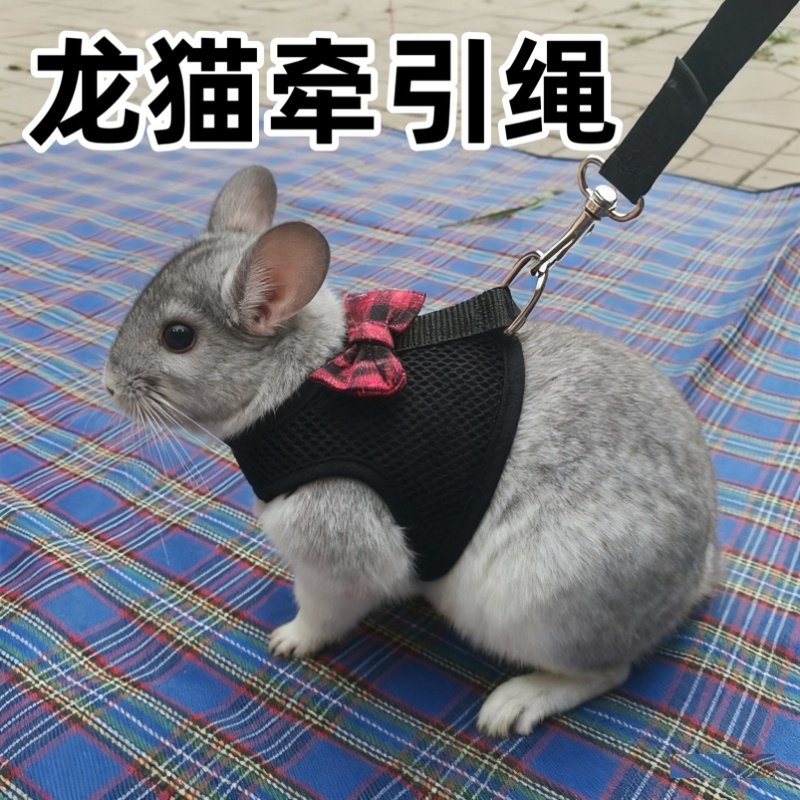 龙猫牵引绳小宠荷兰猪兔子专用放风神器防挣脱可调节款外出外带绳