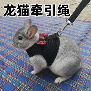 龙猫牵引绳小宠荷兰猪兔子专用放风神器防挣脱可调节款外出外带绳