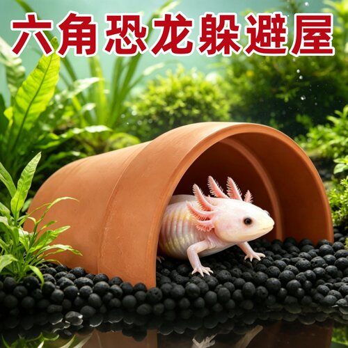 六角恐龙鱼躲避屋乌龟蝾螈瓦片鱼缸巴西龟黄缘异型鱼专用繁殖陶罐
