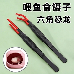 六角恐龙鱼喂食镊子工具爬虫变色龙喂鱼器娃娃鱼乌龟蝾螈喂食神器