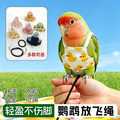 鹦鹉放飞牵引背心外出遛鸟神器