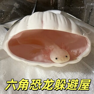 六角恐龙躲避屋小宠专用水族鱼缸造景装饰用品蝾螈专用贝壳躲藏窝