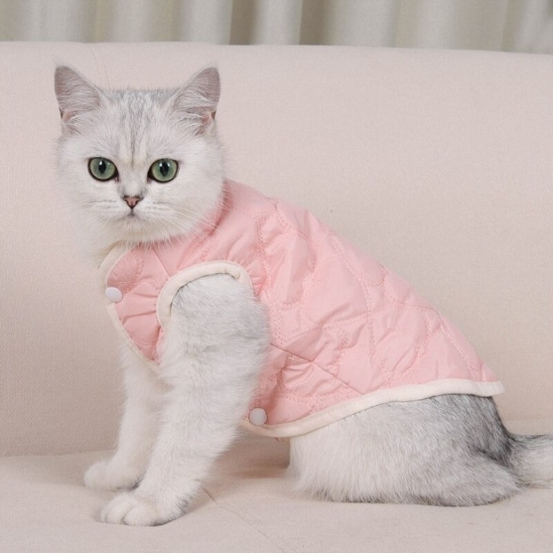 猫咪衣服防掉毛冬天加厚保暖背心图片