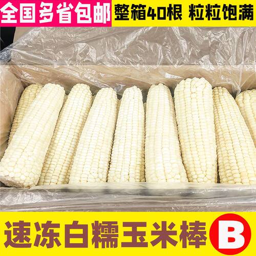 东北糯玉米棒2号玉米棒冷冻粘糯玉米棒白玉米棒16-18厘米整箱40根