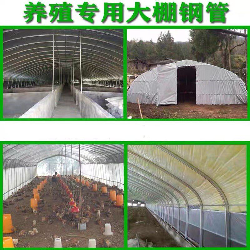 养殖大棚全套养鸡棚鸡舍猪棚牛棚羊棚鸭棚鹅棚养殖大棚骨架
