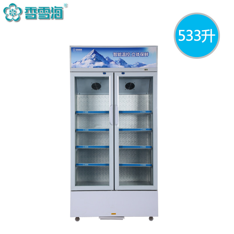 SNOWSEA/香雪海LC-533A 立式双门冷藏饮料展示柜商用展示柜保鲜柜