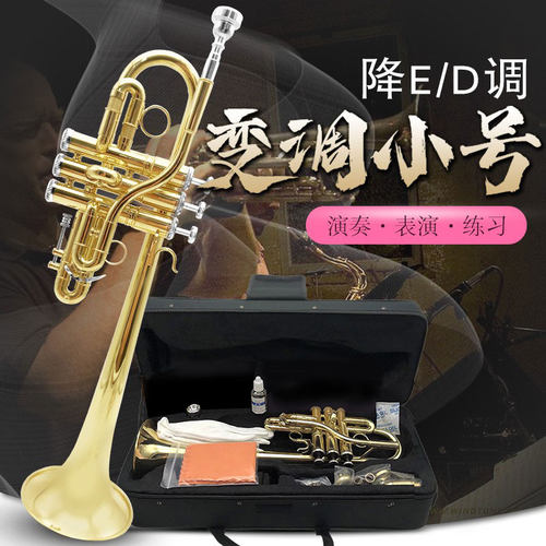 降e/d调变调小号初学考级演奏