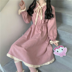 Real price 2020 new dress women's autumn and winter long Korean winter style skirt