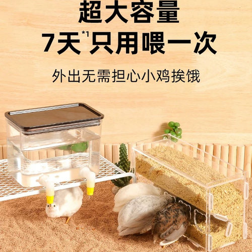 昂三只芦丁鸡防刨食槽自动喂水器