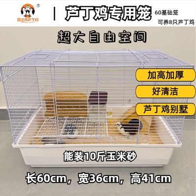昂三只芦丁鸡笼子养殖笼家用笼具