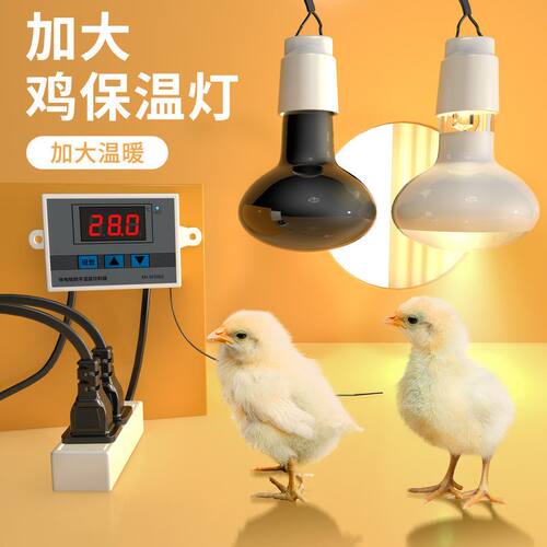 芦丁鸡保温灯泡日光灯夜用取暖灯