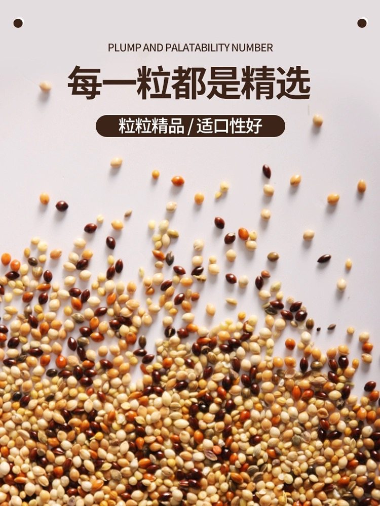 芦丁鸡【五斤装】天然五谷黍子鸡零食粮中产蛋期宠物鸡零食饲料,宠物/宠物食品及用品,鸟食,淘宝优惠券,粉丝福利购,淘宝优惠卷