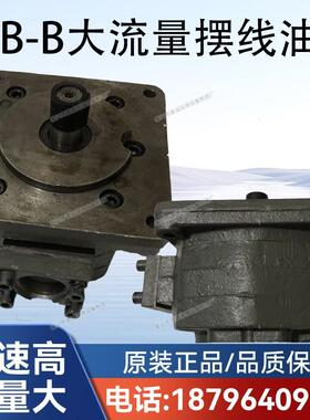 新款DLB-B100/BN125 DLB-B160 DLB-B250大流量润滑摆线齿轮油包邮