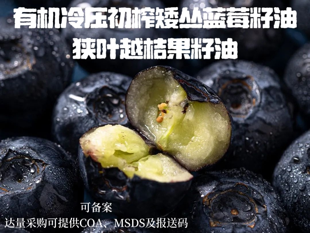 有机冷压初榨狭叶越桔果籽油矮丛蓝莓籽油 紫色 气味怡人基础油