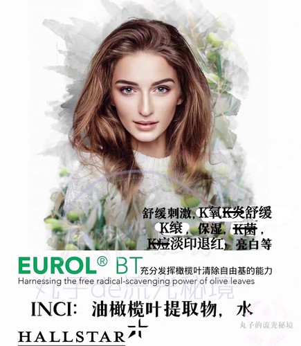 美国HallStar油橄榄叶 欧Ma同厂护肤原料 舒缓退红K燚K氧抑痘