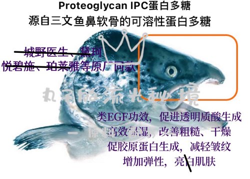 日本一丸可溶蛋白多糖 类EGF修复原料鲑鱼鼻软骨促HA生成保湿K缞