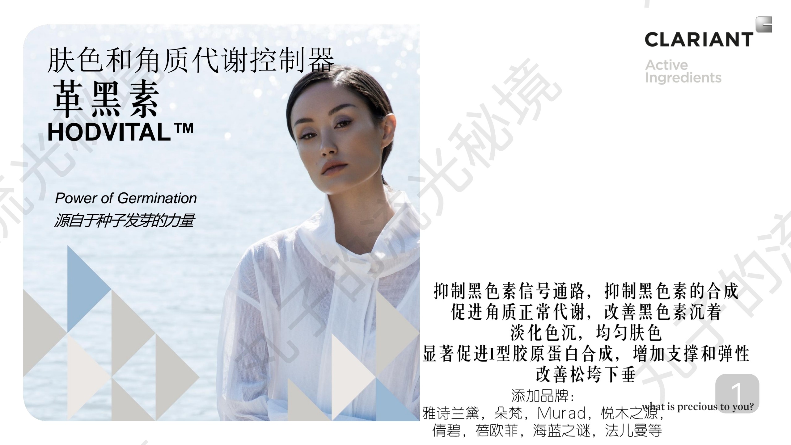 瑞士科莱恩革黑素  抑制黑色素淡化亮白匀净 促I型胶原护肤原料