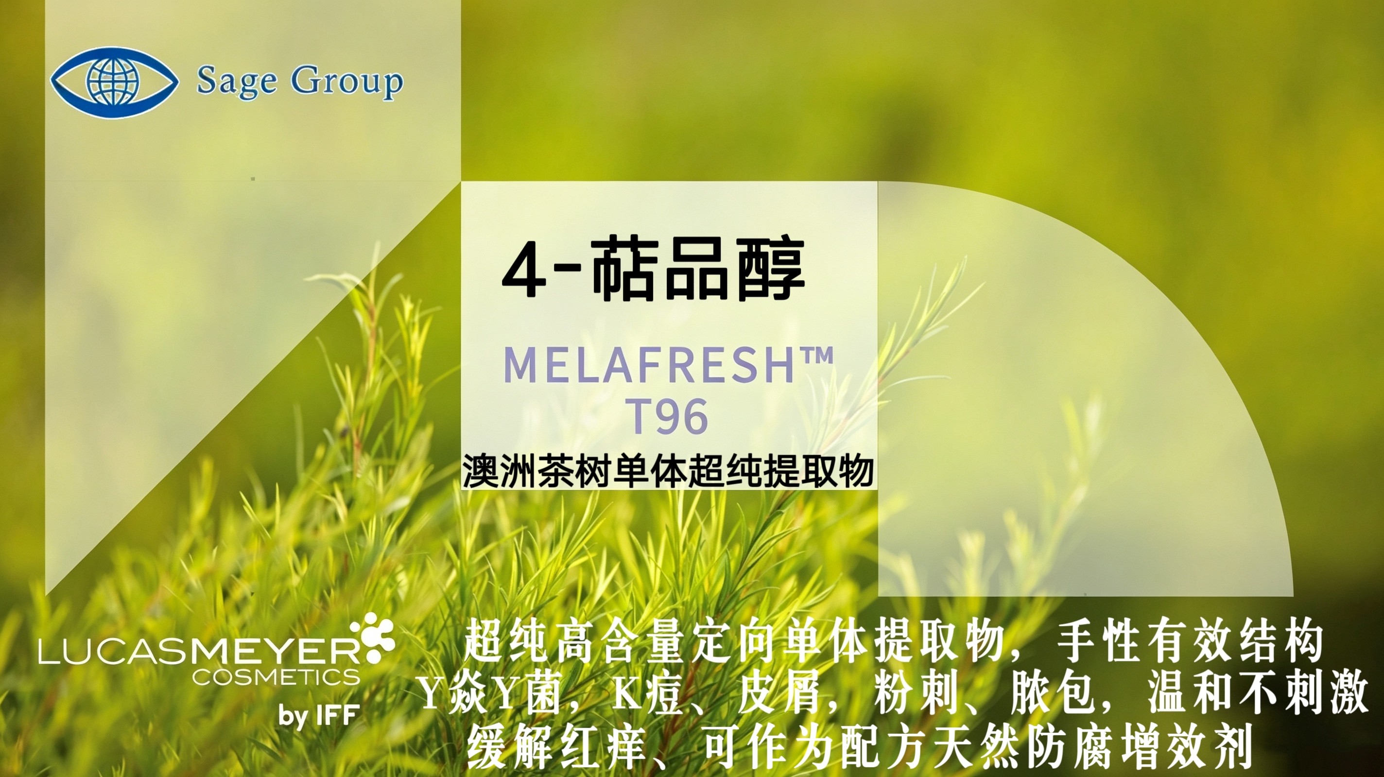 加拿大Lucas Meyer澳洲茶树提取 油溶4-萜品醇 Y焱Y菌K痘护肤原料
