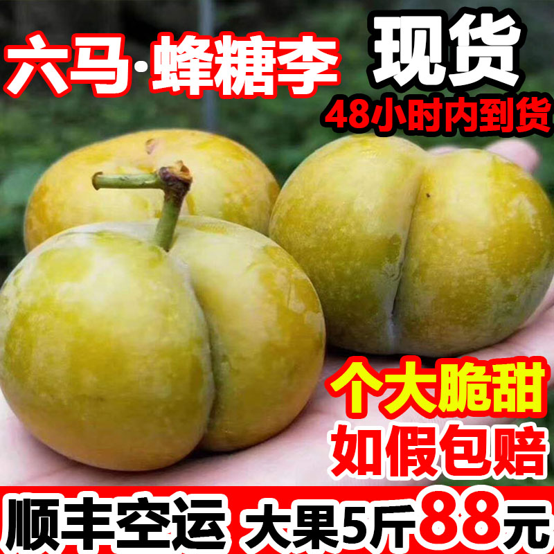现货顺丰贵州镇宁蜂糖李新鲜脱骨李子应季水果现摘现发５斤大果