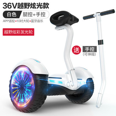 阿尔郎自平衡电动车双轮儿童充电器