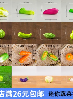 仿真蔬菜模型摆件微景观装饰品