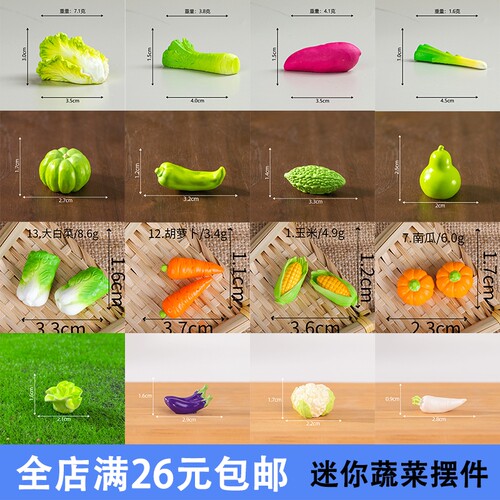 仿真蔬菜模型摆件微景观装饰品