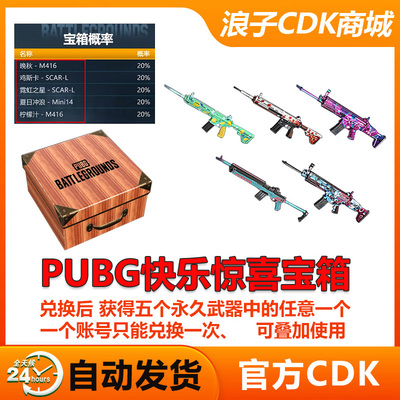 PUBG惊喜快乐宝箱兑换码cdk
