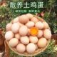 农村散养正宗土鸡蛋新鲜草鸡蛋柴鸡蛋林地散养谷物土鸡蛋笨鸡蛋