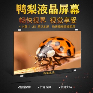 屏幕 i2000 e40 g40 isk y40 y430p v3000 适用联想v1000