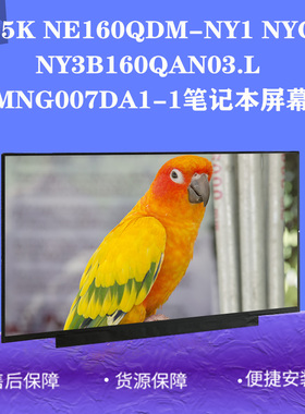 NE160QDM-NY1 NYC NY3B160QAN03.L MNG007DA1-1MNF601CA1-3屏幕