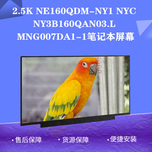 NY3B160QAN03.L NYC NY1 2.5K MNG007DA1 NE160QDM 1笔记本屏幕
