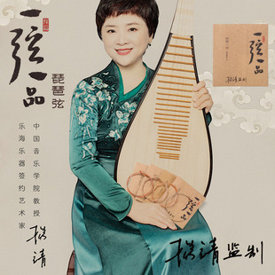 乐海一弦一品琵琶琴弦1-4弦全套弦线专业演奏级尼龙琵琶杨靖监制
