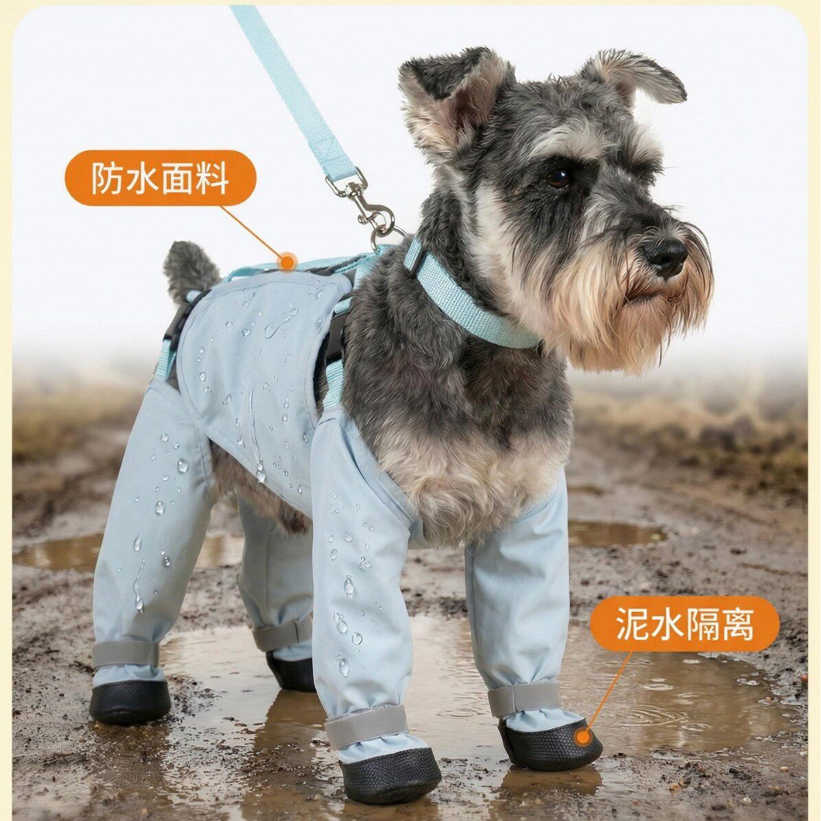 宠物狗狗外出遛弯防脏不