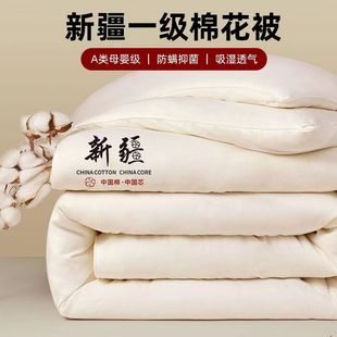 Xinjiang cotton quilt duvet comforter thicken winter single
