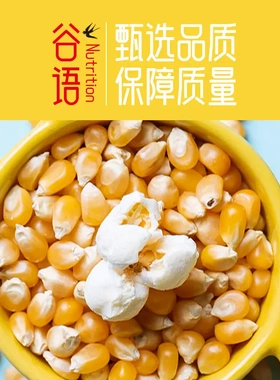 500g vacuum packed corn kernels popcorn rice kernels