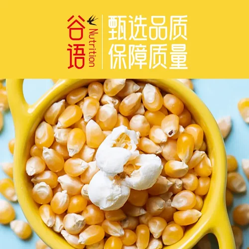 500g vacuum packed corn kernels popcorn rice kernels