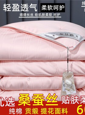 Silk quilt core breathable comfortable all seasons blanket