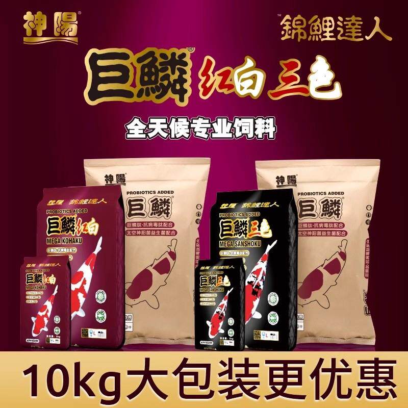 新款巨鳞锦鲤饲料红白三色骨霸色扬增体鱼食赛级鱼粮颗粒包邮