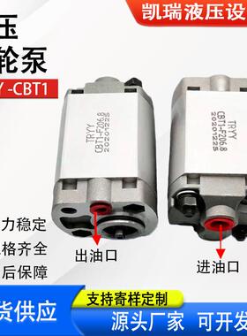 新款TRYY CBT1-F206.8齿轮泵CBT1-F202.1液压油泵CBT1-F201.2包邮