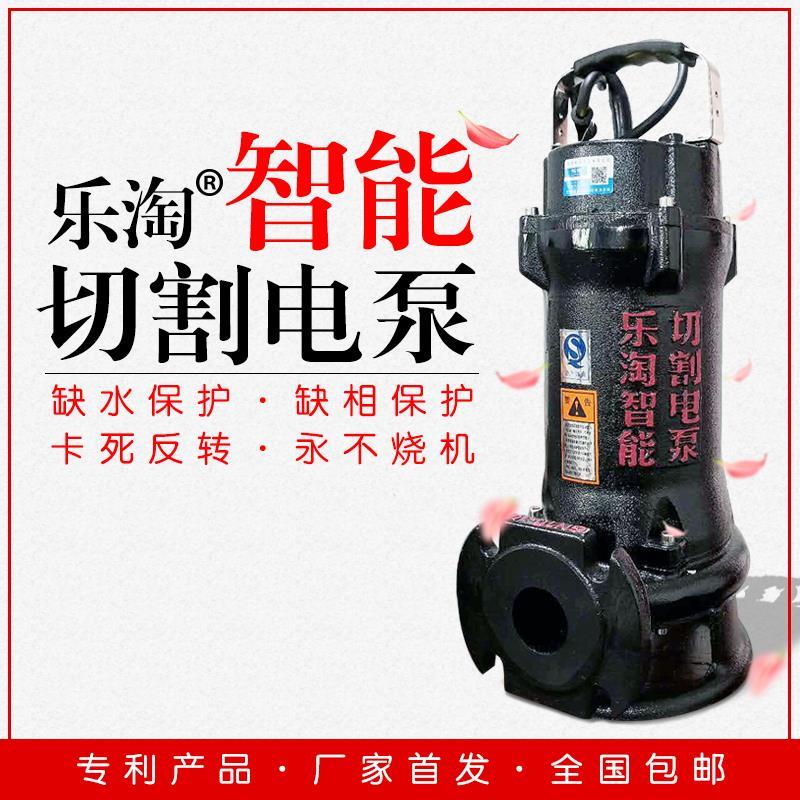 新款家用全自动220v小型污水泵抽化粪池抽粪沼液泵排污泵泥浆包邮
