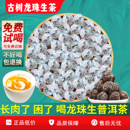 易武古树龙珠生茶普洱茶小沱茶免费试喝不好喝包退果香新茶1000g