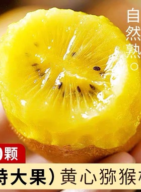 浦江黄心猕猴桃新鲜应季孕妇水果整箱四川黄心奇异果大果顺丰包邮