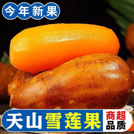 云南天山雪莲果新鲜水果当季现挖脆甜黄心红心雪连果时令大果整箱
